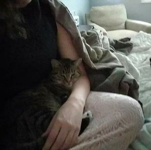 Meet your Posher, Miss